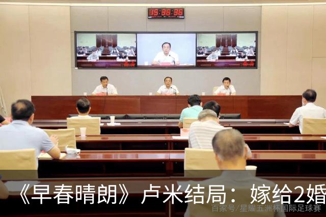 《早春晴朗》卢米结局：嫁给2婚男，睡了比栾念更有腔调的will，俩人修成正果，生下双胞胎