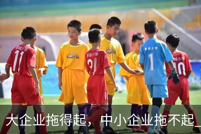 大企业拖得起，中小企业拖不起 | 微观视界