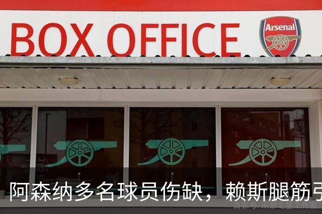 阿森纳多名球员伤缺，赖斯腿筋引担忧，有意追逐布莱顿锋线小将